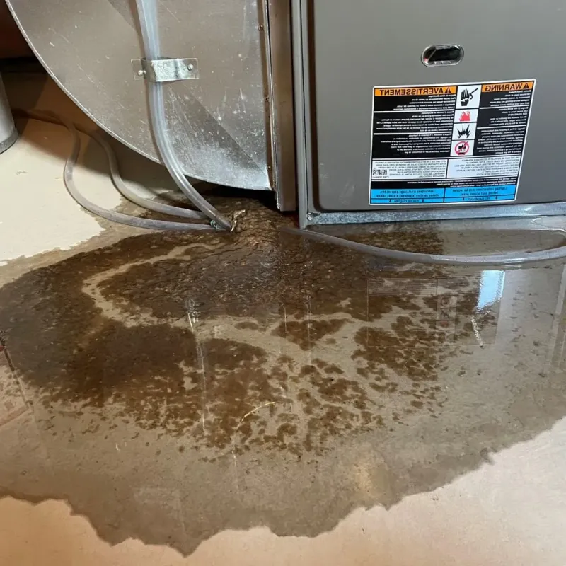 Pipe Burst and Leak Restoration in Chilton, WI