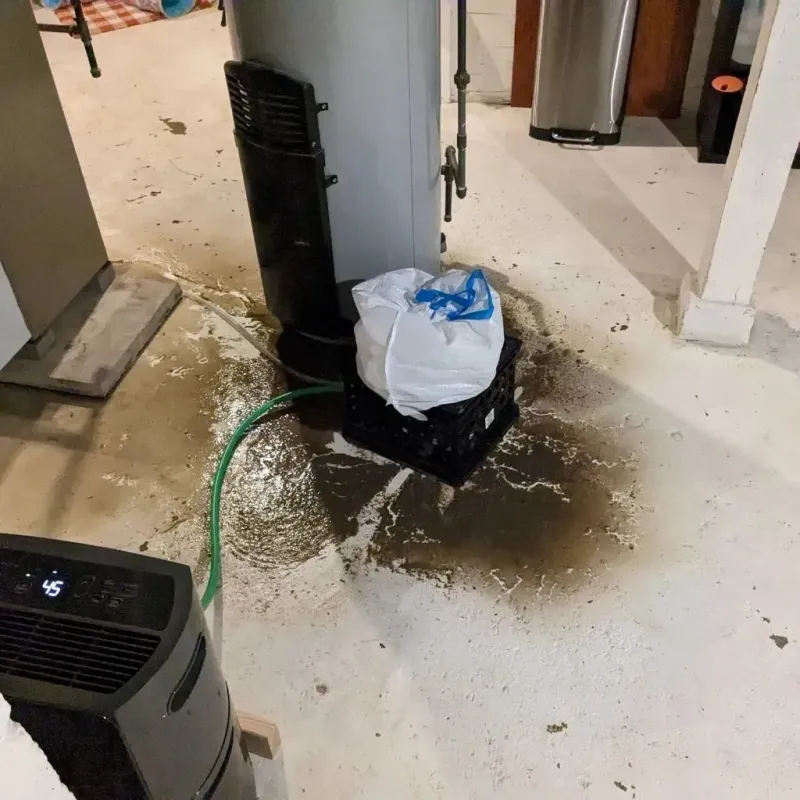 Sewage Backup Cleanup Service in Chilton, WI